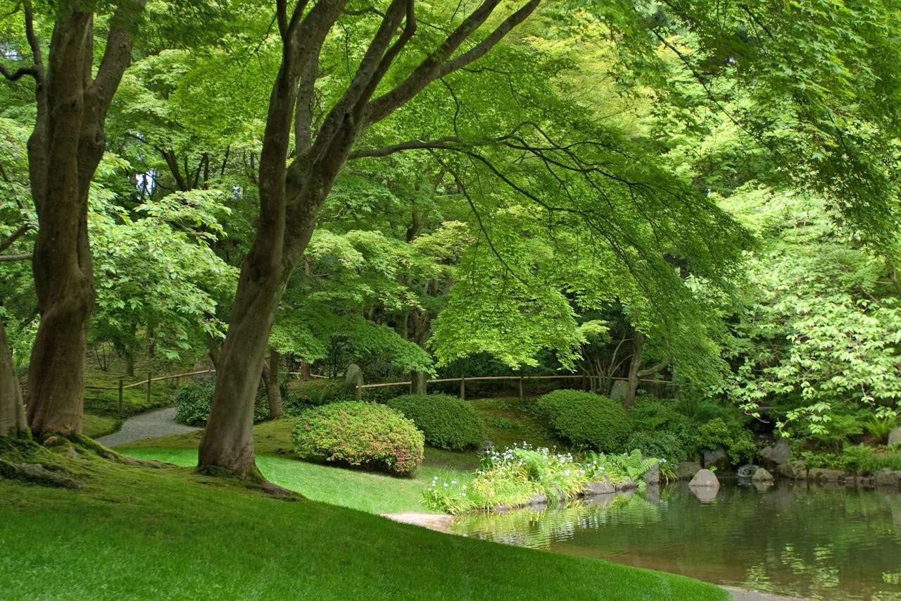 Tranquil Japanese Zen garden scene featuring a serene pond surrounded by lush greenery.